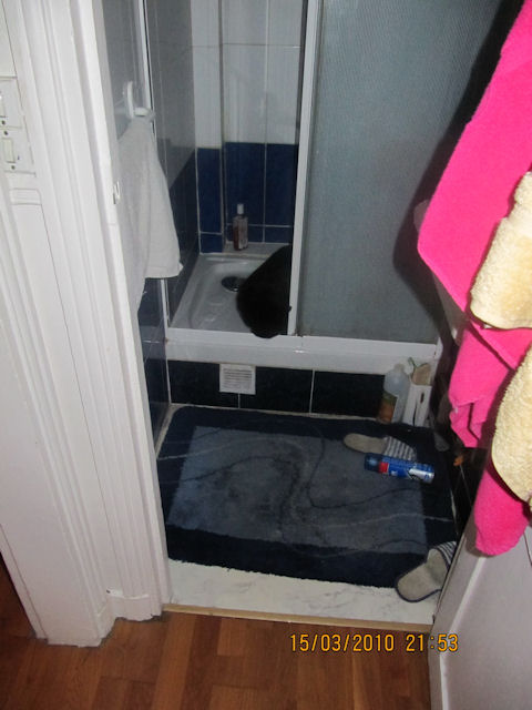 2010-03-26 Exploitation et droguage de chat_l.jpg